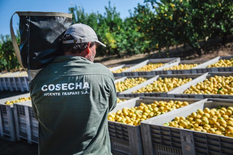 Productores de Tucumán buscan abaratar el costo del flete agregando valor a la producción en origen y le piden al Gobierno que los acompañe