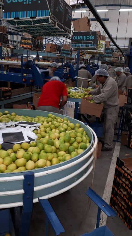 Productores de Tucumán buscan abaratar el costo del flete agregando valor a la producción en origen y le piden al Gobierno que los acompañe