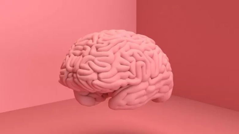 El extraordinario gen que hizo especial nuestro cerebro