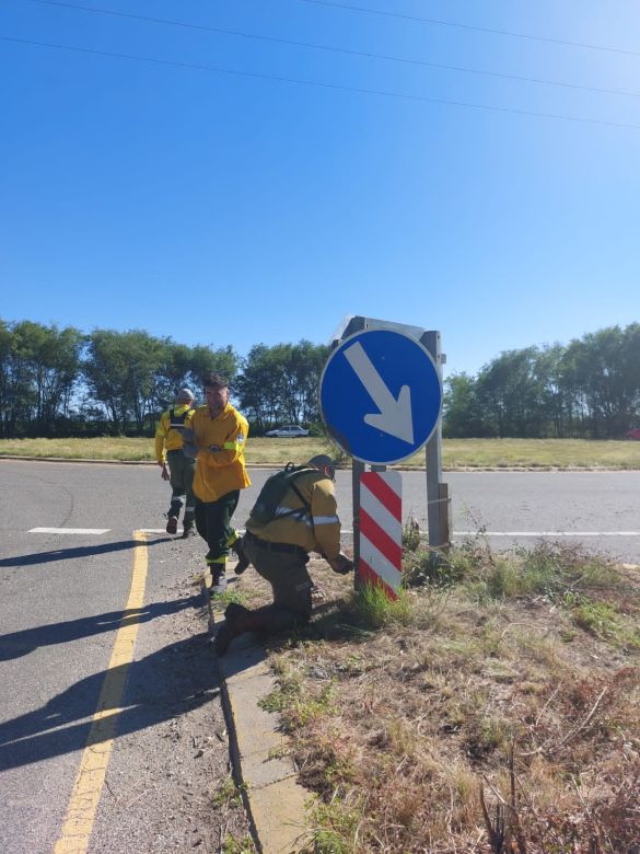 Día del Brigadista Forestal: concientización ambiental y recuperación de señales viales en El Esquinazo