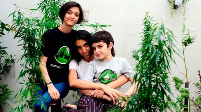 Desde "Mamá cultiva" reclaman que frenaron la aprobación de la Ley de Producción Industrial de Cannabis