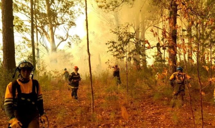 Córdoba envía 146 bomberos y un avión para combatir el fuego en Corrientes