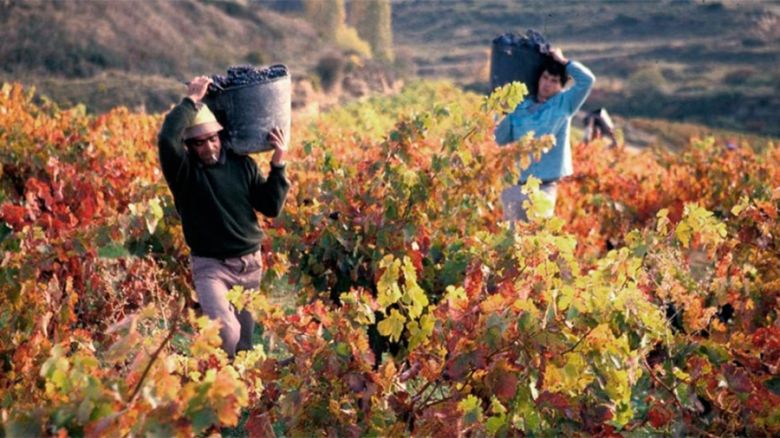 Mendoza será sede de la Asamblea de la Red Mundial de Capitales del Vino