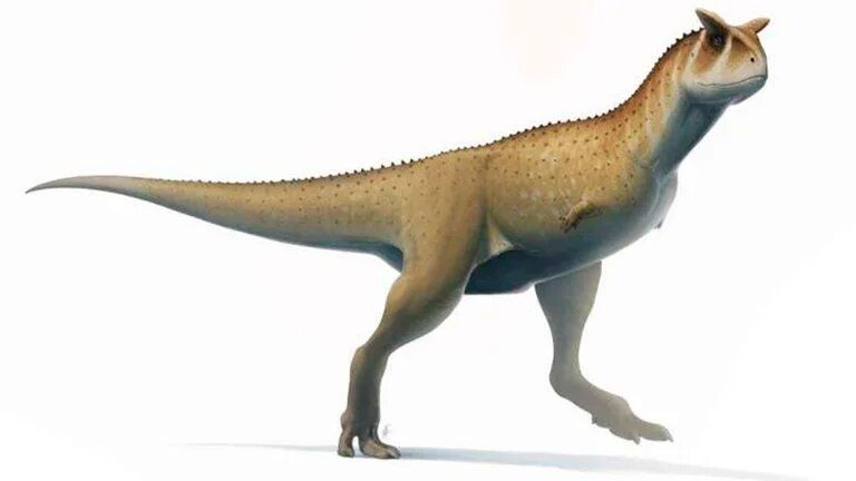 Descubren en Argentina una nueva especie de dinosaurio con brazos muy cortos