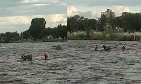 Rescataron un caballo en medio de la creciente del río Cuarto: mirá el video