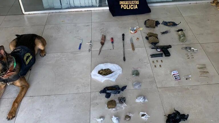 Armas de fuego, facas y droga en los micros de la barra de River Plate: la Policía detuvo a la cúpula de los Borrachos del Tablón