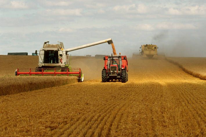 España y Francia le propusieron a la Unión Europea comprarle cereales a la Argentina