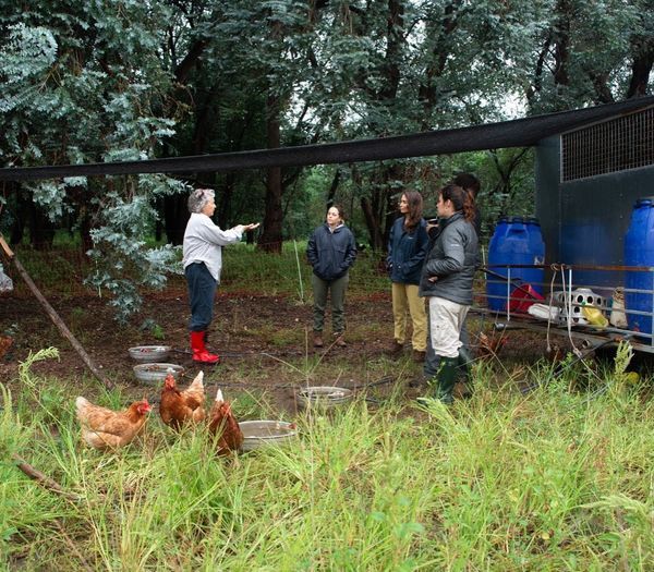  La reserva privada “Monte Alegre” busca concientizar sobre la importancia de la restauración de los bosques