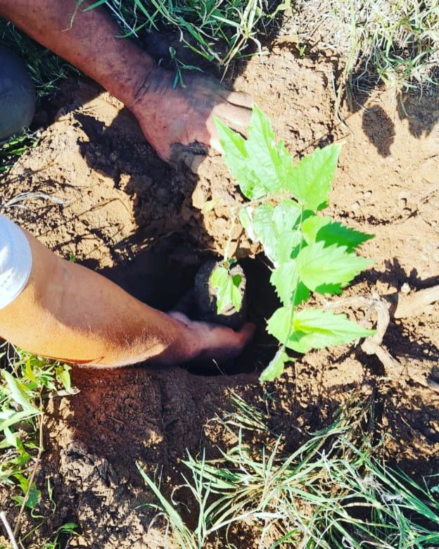  La reserva privada “Monte Alegre” busca concientizar sobre la importancia de la restauración de los bosques