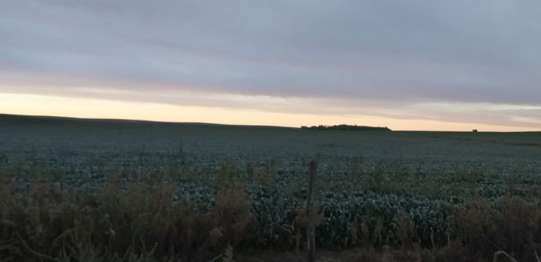 Jueves fresco y los oyentes de LV16 muestran la helada en la zona rural