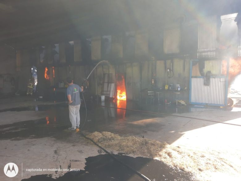 Se incendió un galpón y una camioneta de un establecimiento agropecuario