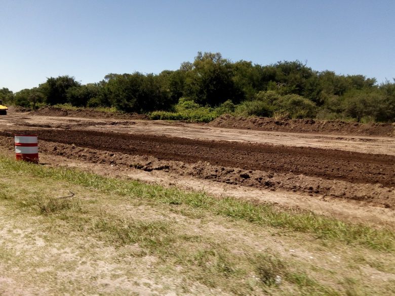 Forestación en Córdoba: "Se nos termina el tiempo"