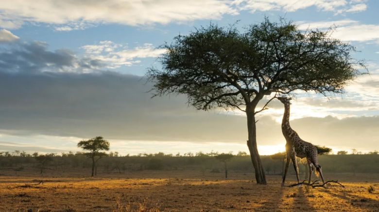 La Madre Tierra invita a una instancia de reflexión