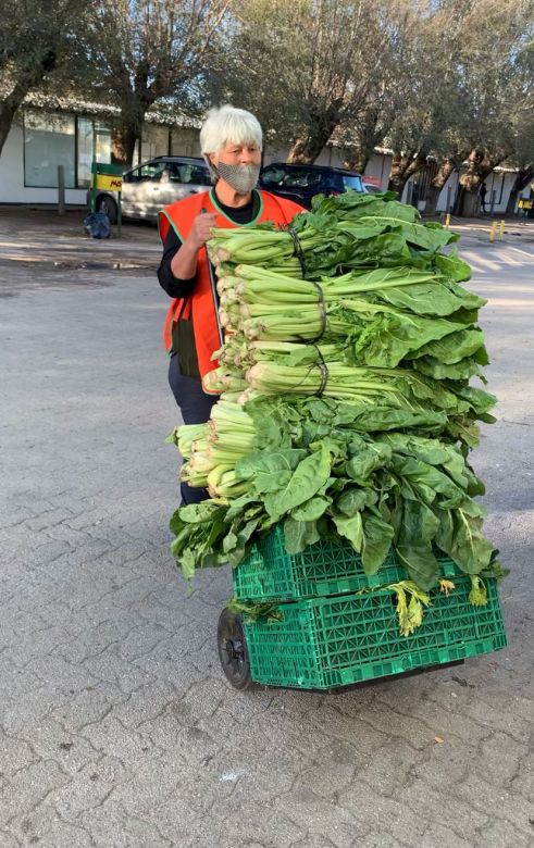 "En Argentina se desperdician 16 millones de toneladas de alimento por año"