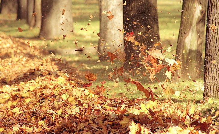 Tiempo ventoso para el jueves y viernes, luego viene el frío 