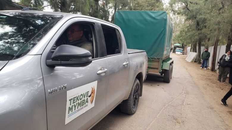 De Córdoba a Entre Ríos: trasladan al búfalo Rubén a un santuario