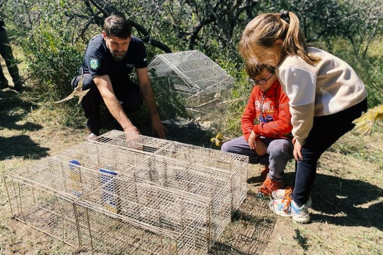 Recomiendan evitar la mascotización de la fauna silvestre