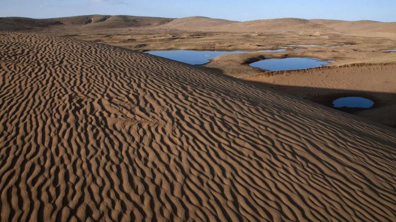 ¿Qué es la desertificación? 