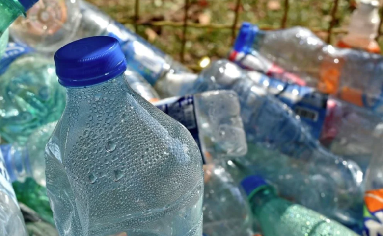 Cómo son los supergusanos capaces de masticar desechos plásticos