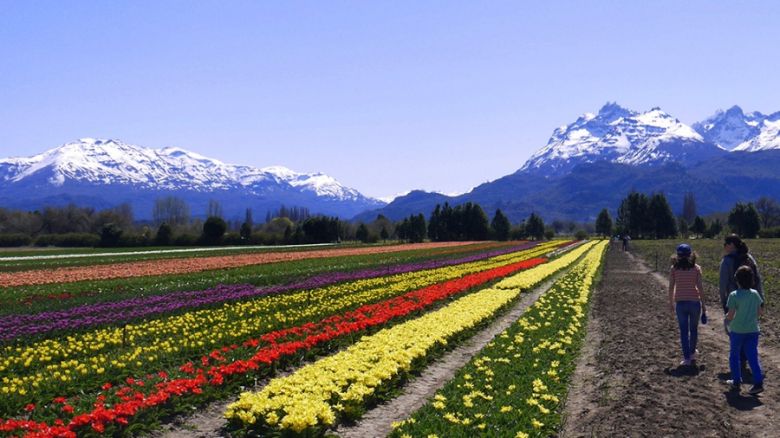 Tres pueblos argentinos compiten para ser distinguidos como el mejor del mundo