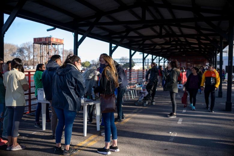 Se realizó una nueva Feria de Adopciones y vacunación antirrábica en el Andino