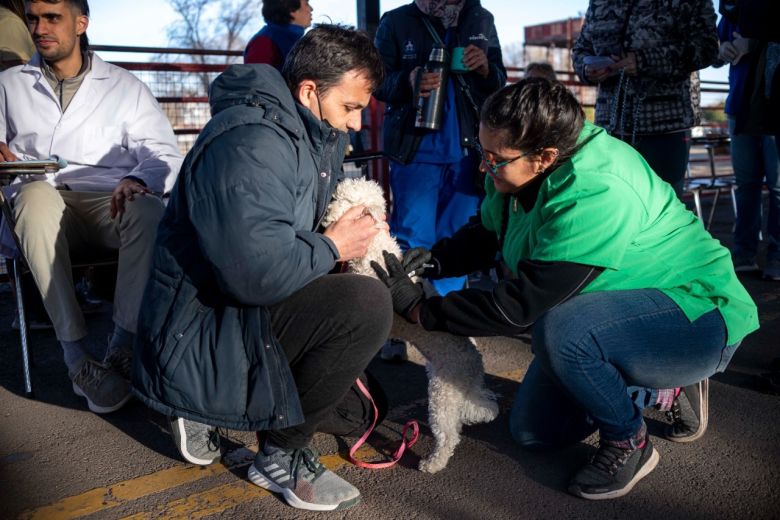 Se realizó una nueva Feria de Adopciones y vacunación antirrábica en el Andino