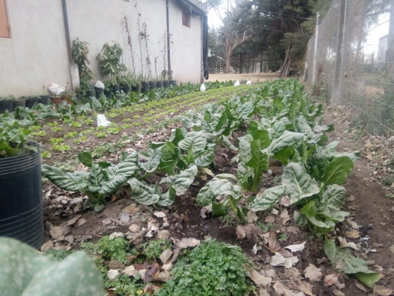 Una cooperativa que realiza productos agroecológicos ayuda a concientizar sobre otra manera de consumir alimentos