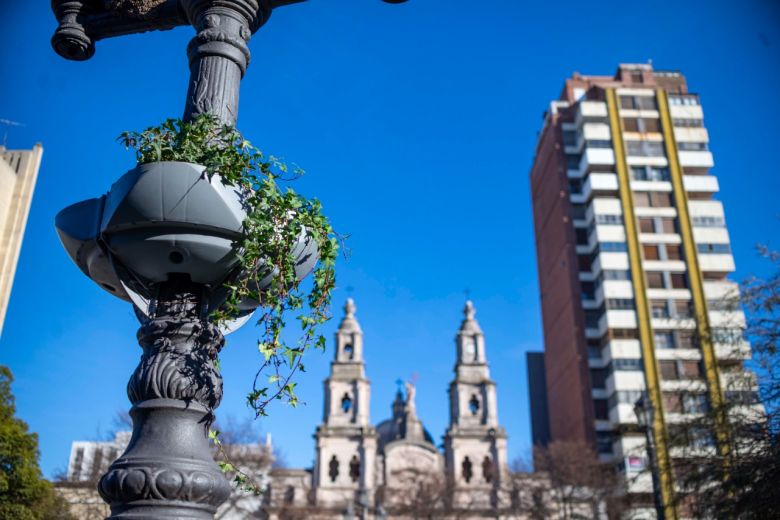 Se está desarrollando una intervención integral en Plaza Roca