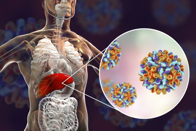 Recomiendan la realización de test para detectar Hepatitis B y C