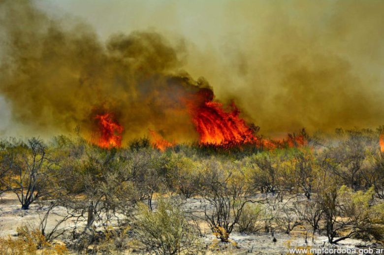 Elevan a juicio la causa por el incendio en la zona rural de Jovita