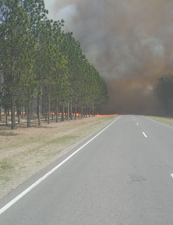 Se reanudó el fuego en la autovía Córdoba- Río Cuarto