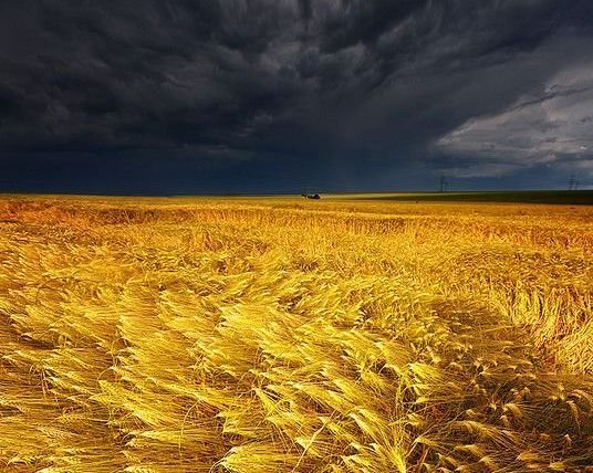 Las temperaturas suben y el viento regresa con mucha intensidad