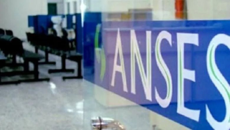 Anses confirmó que no hay un nuevo IFE