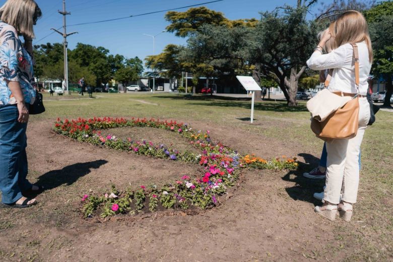 Octubre Rosa: intervención paisajística en Plaza General Paz