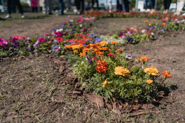 Octubre Rosa: intervención paisajística en Plaza General Paz