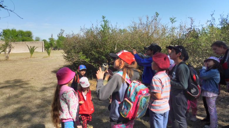 Colegios entusiasman a niños y familias con el ave representativa de Córdoba