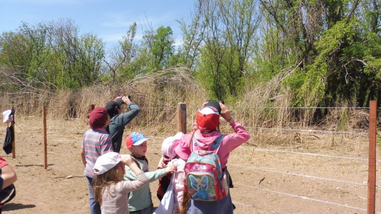 Colegios entusiasman a niños y familias con el ave representativa de Córdoba