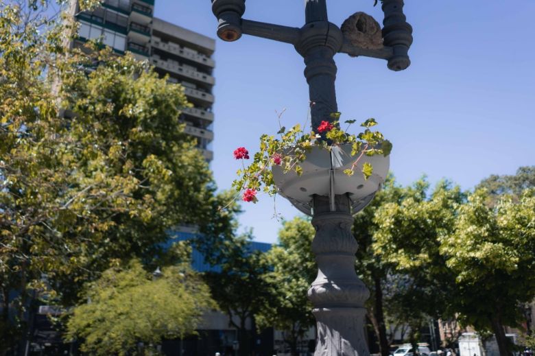 Realizan tareas de embellecimiento y mantenimiento en el Microcentro