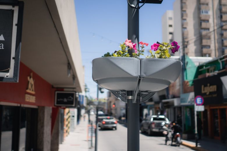 Realizan tareas de embellecimiento y mantenimiento en el Microcentro