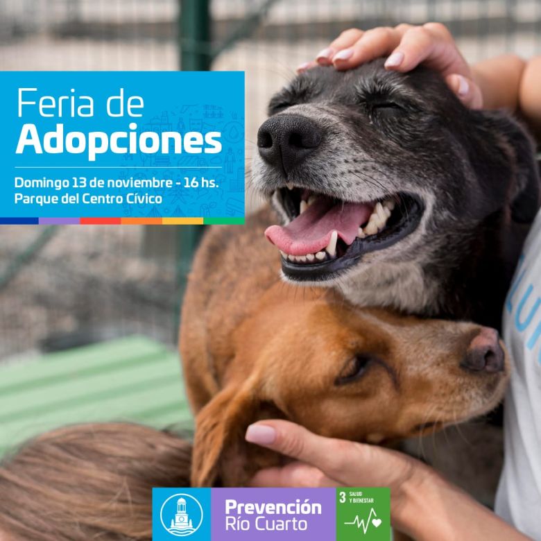 Se realizará una nueva Feria de Adopciones en el Parque del Centro Cívico