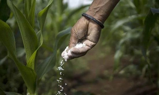 Empresarios de la agroindustria con dificultades para acceder a insumos