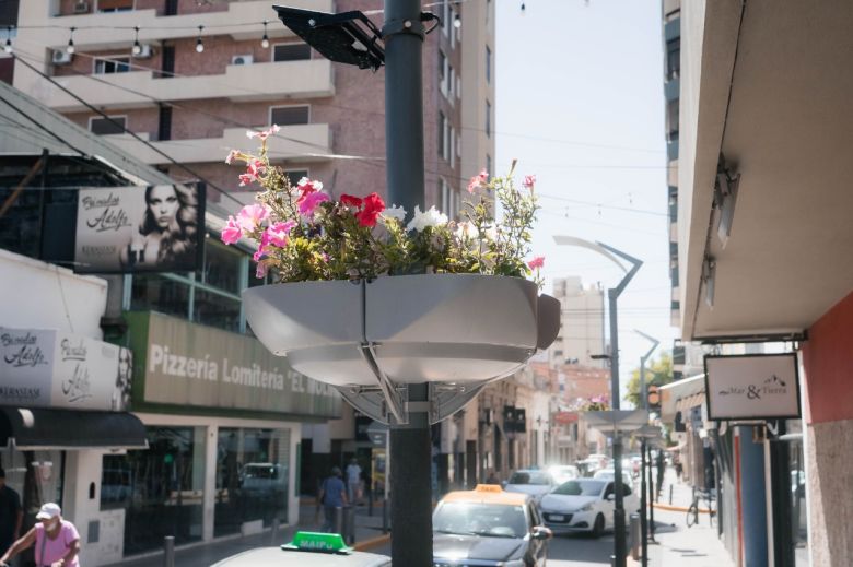 Puesta en valor del microcentro: se realizan arreglos de veredas, demarcación vial y ornamentaciones florales