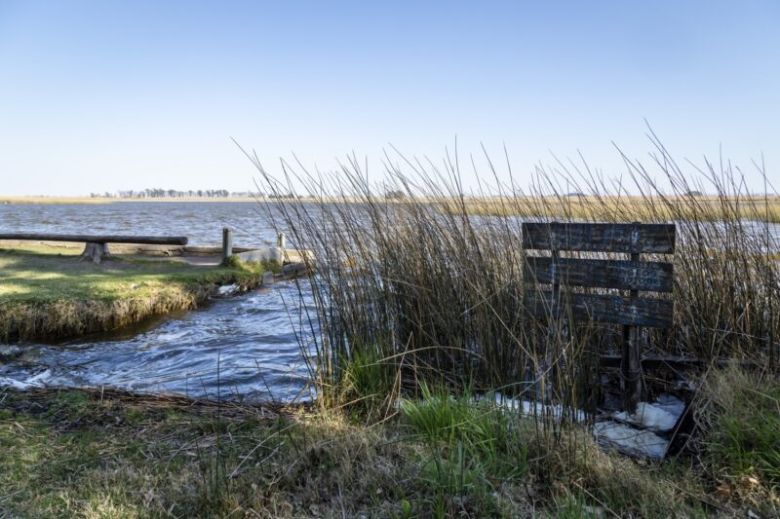 Crisis hídrica: la laguna de Suco tiene vida propia por sus vertientes