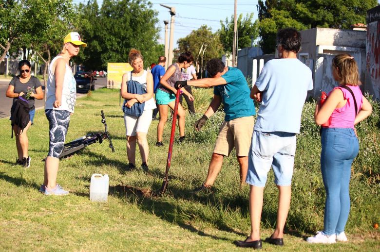 Continúa la forestación en el oeste de la ciudad