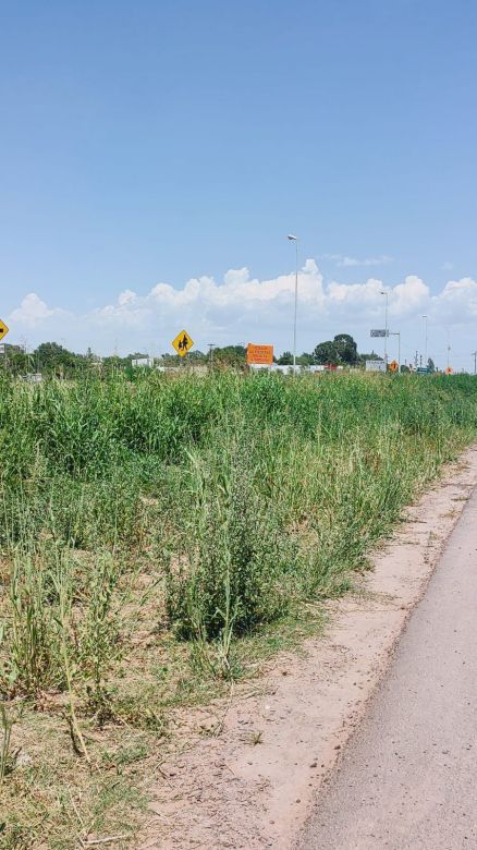 “El sur está totalmente abandonado”