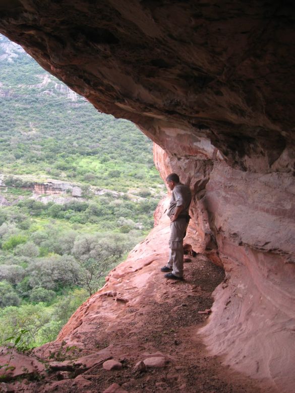 Arte rupestre en Cerro Colorado: se podrá visitar de manera virtual