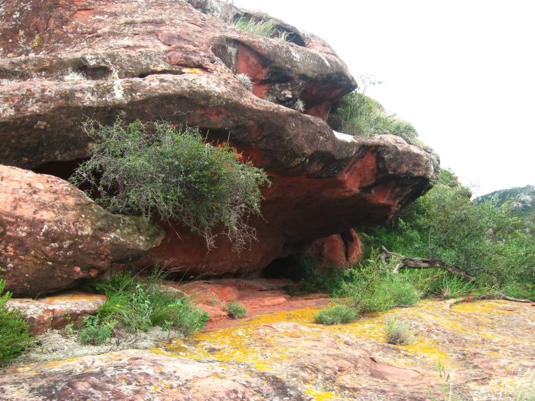 Arte rupestre en Cerro Colorado: se podrá visitar de manera virtual