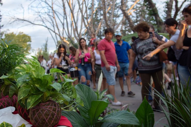 Este domingo se realiza una nueva edición del Paseo de Ferias