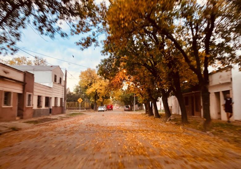 Temperaturas normales para un otoño que se instaló en la ciudad