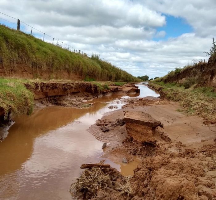 "Hay que redireccionar fondos para tener una red de caminos que sea viable”